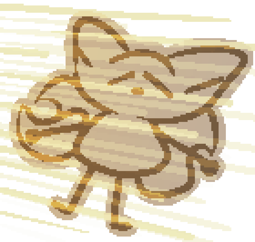 bee being disintegrated by the sunlight